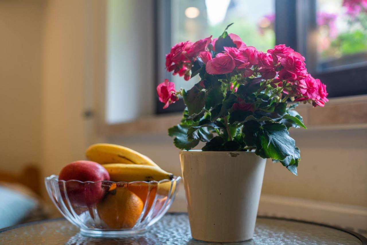 Ewa Apartament