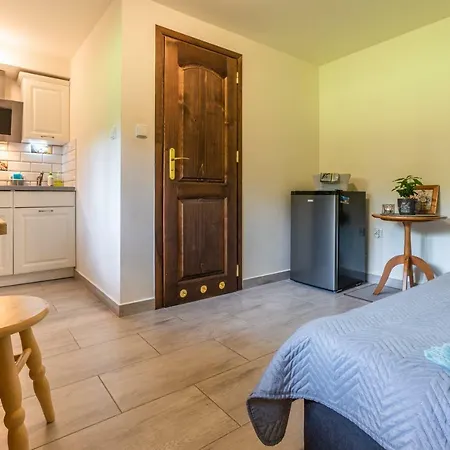 Apartament Ewa Закопане Екстер'єр фото